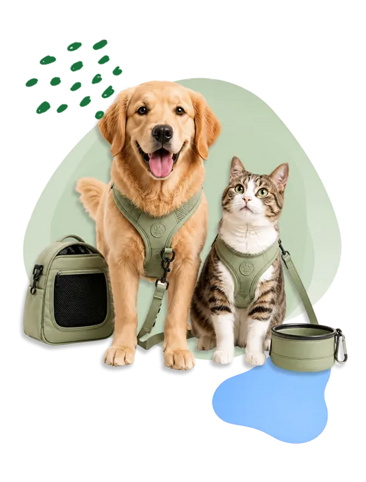 Dog and cat wearing harnesses with travel accessories for pets.