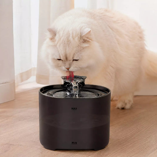 Flow Automatic Pet Water Fountain