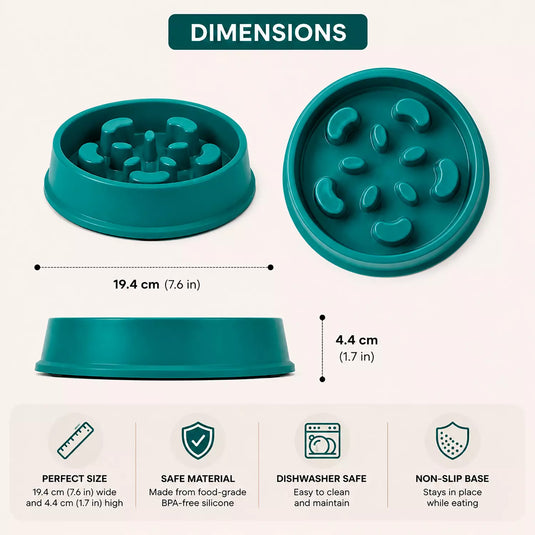Balance Slow Feeder Bowl