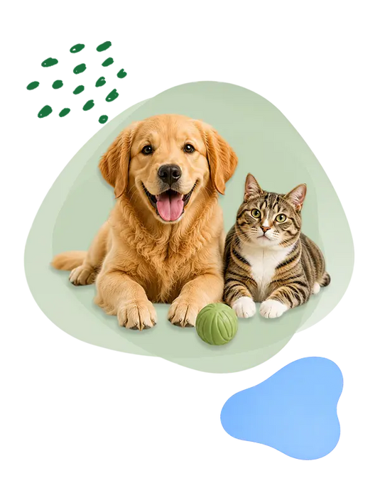 Happy dog and cat sitting together with a pet toy.
