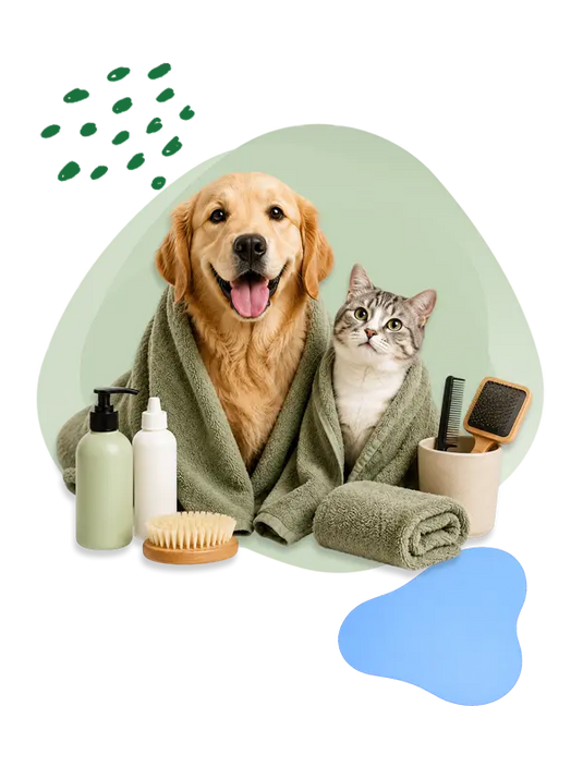 Dog and cat wrapped in towels with grooming and pet care essentials.