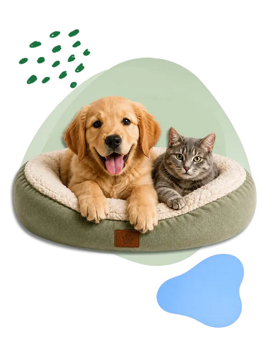 Dog and cat relaxing together in a soft pet bed.